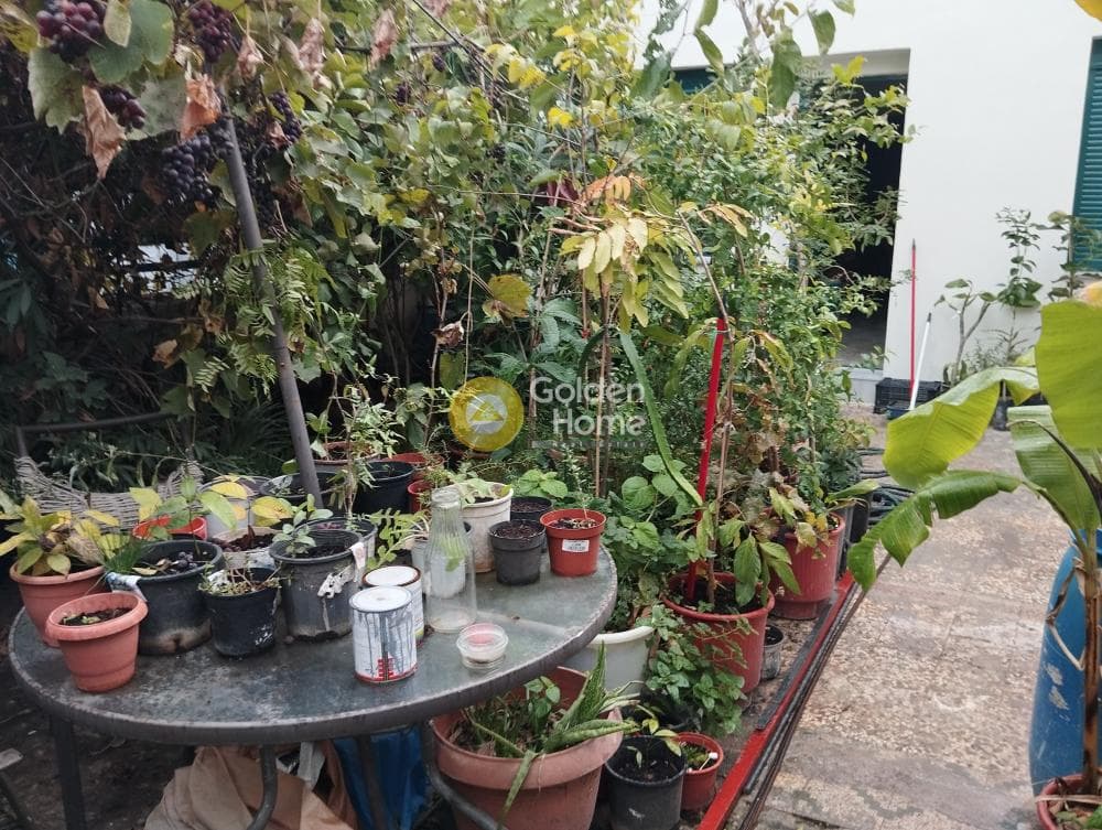 Μονοκατοικία στην Σιδηροδρομικό Πάρκο Ρέντη, Πειραιάς — Φωτογραφία 9 από 20