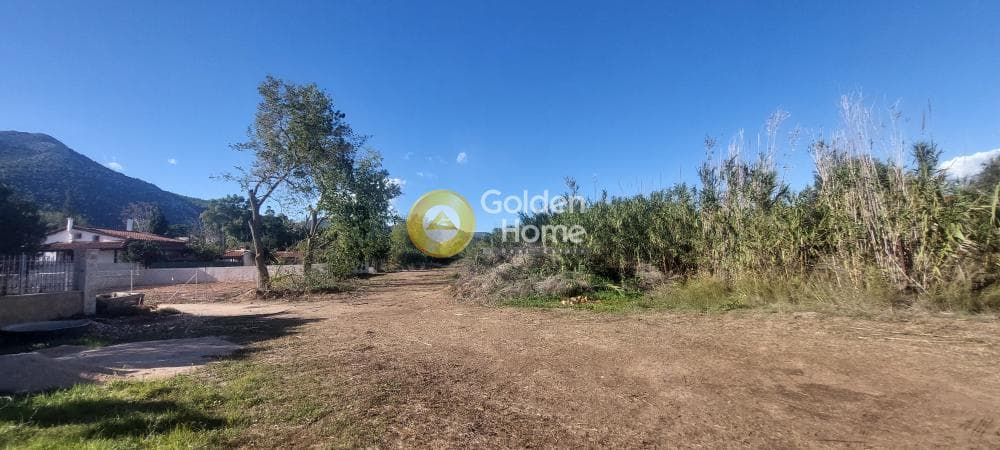 Οικόπεδο στην Άγιος Παντελεήμονας, Νέα Μάκρη — Φωτογραφία 8 από 16