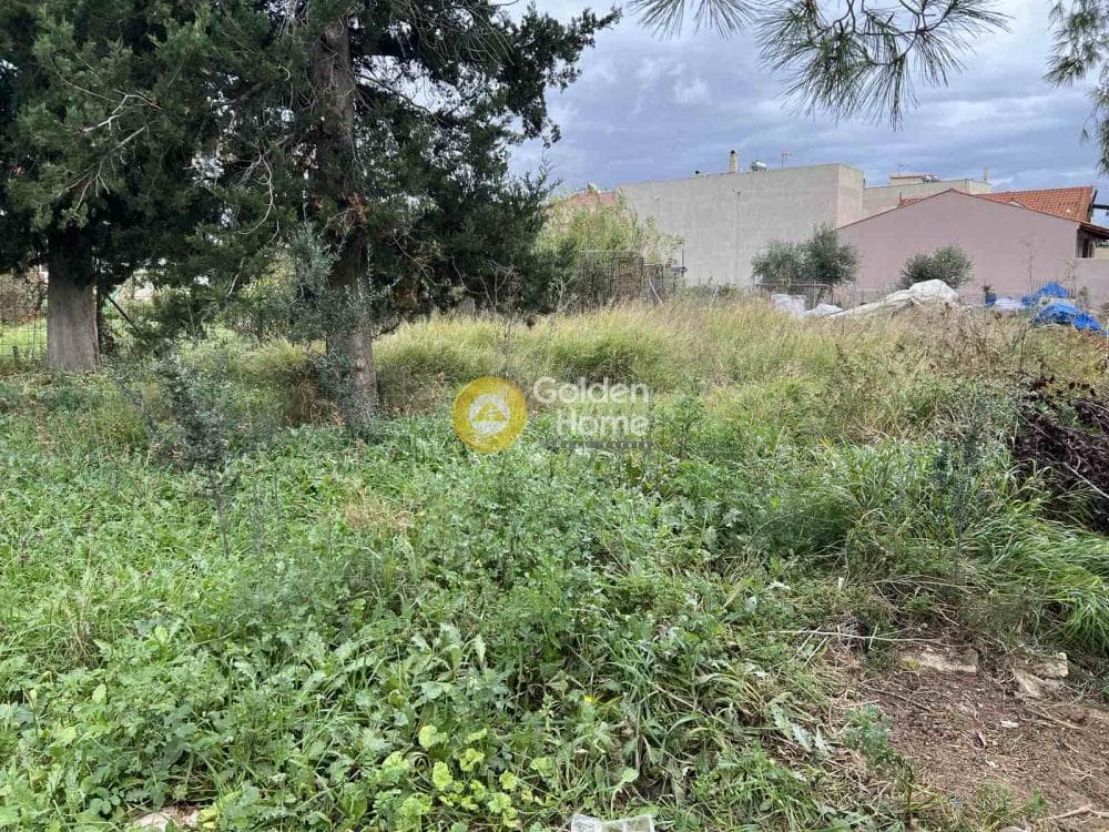 Building Plot in Megala Sxoinia A, Acharnes — Photo 2 of 3