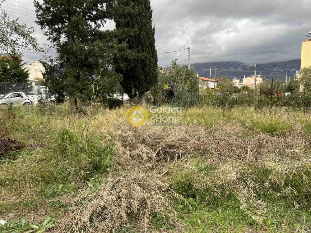 Building Plot in Megala Sxoinia A, Acharnes — Photo 1 of 3