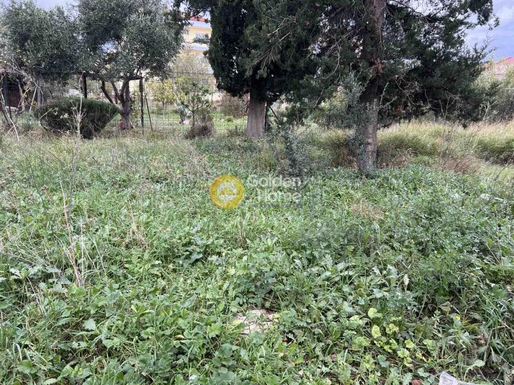Building Plot in Megala Sxoinia A, Acharnes — Photo 3 of 3