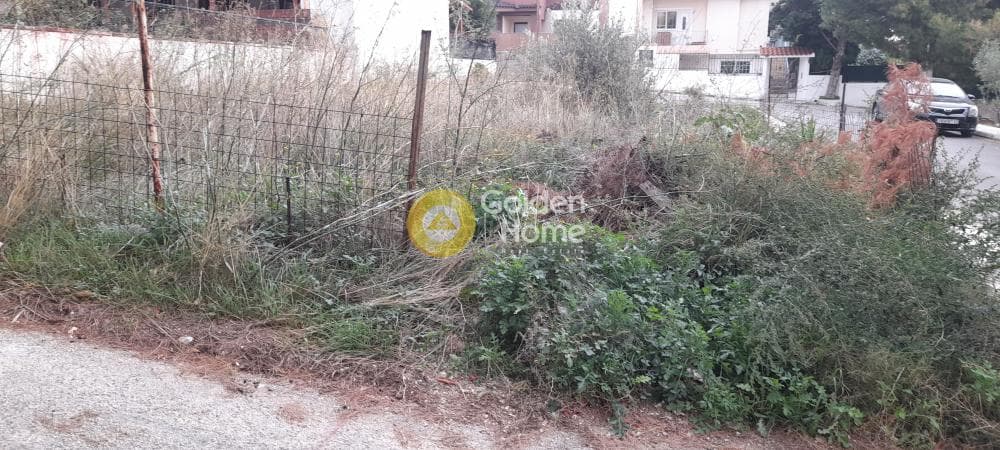 Building Plot in Megala Sxoinia A, Acharnes — Photo 3 of 7