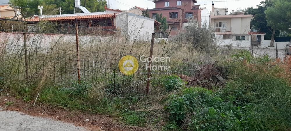 Building Plot in Megala Sxoinia A, Acharnes — Photo 6 of 7