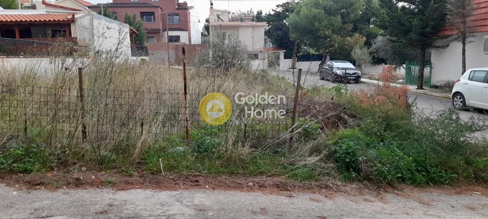 Building Plot in Megala Sxoinia A, Acharnes — Photo 4 of 7