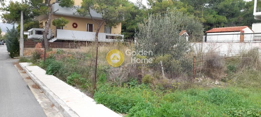 Building Plot in Megala Sxoinia A, Acharnes — Photo 5 of 7