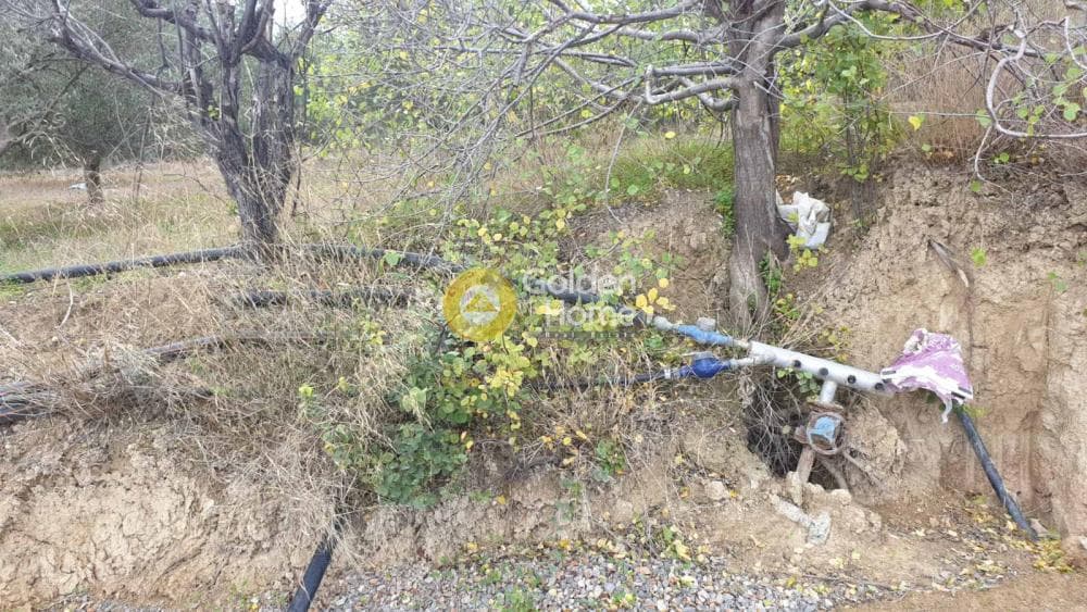 Οικόπεδο στην Αυγενική, Τετραχώρι — Φωτογραφία 2 από 5