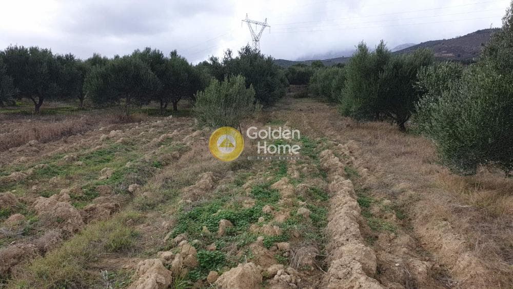 Οικόπεδο στην Αυγενική, Τετραχώρι — Φωτογραφία 4 από 5