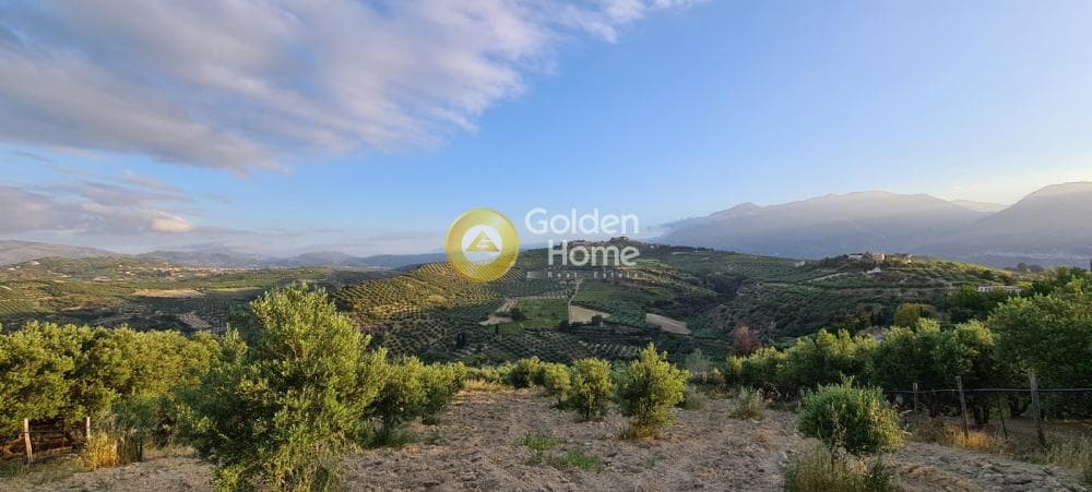 Οικόπεδο στην Πετροκέφαλο, Τετραχώρι