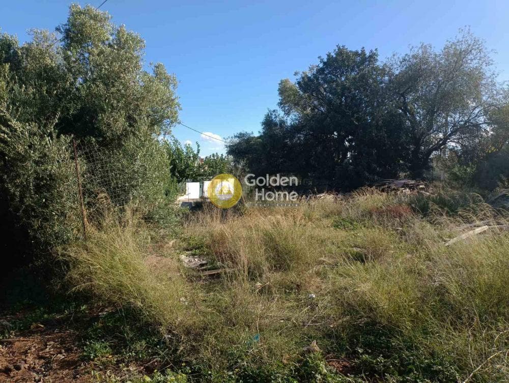 Οικόπεδο στην Αγία Τριάδα, Παιανία — Φωτογραφία 2 από 3