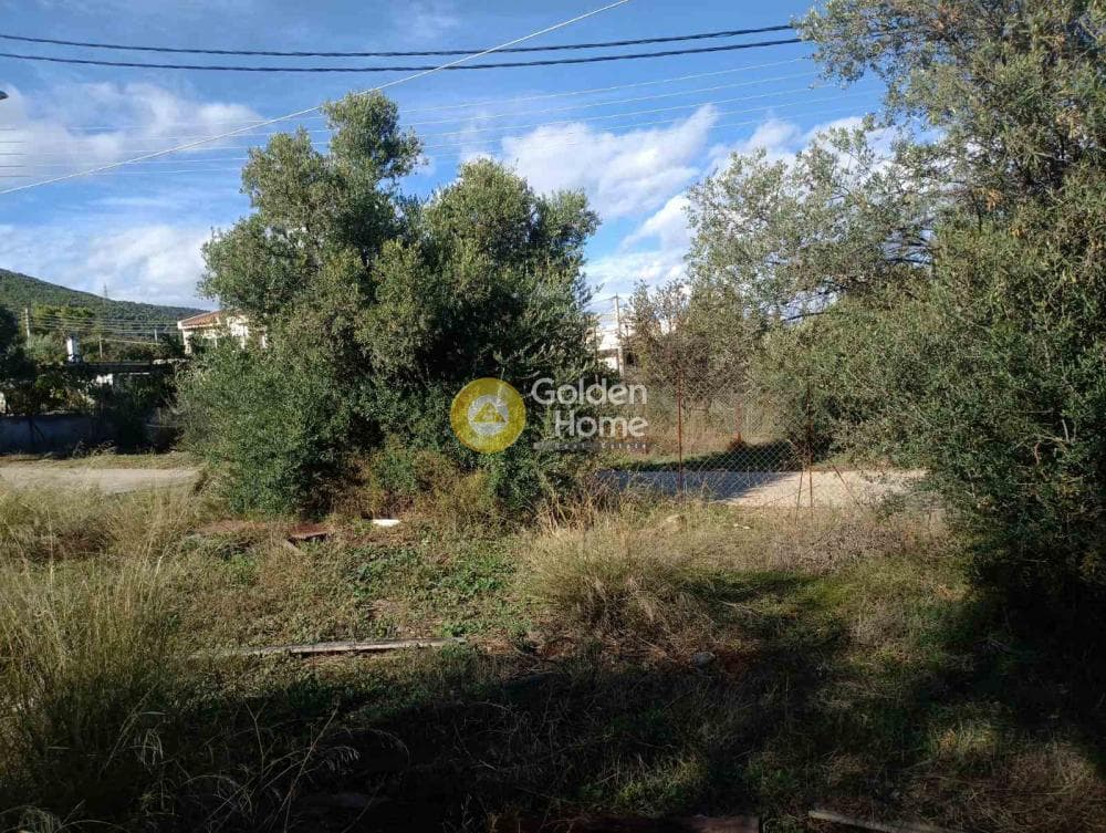 Οικόπεδο στην Αγία Τριάδα, Παιανία — Φωτογραφία 3 από 3