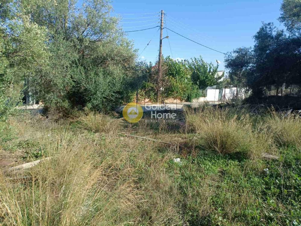 Οικόπεδο στην Αγία Τριάδα, Παιανία — Φωτογραφία 1 από 3