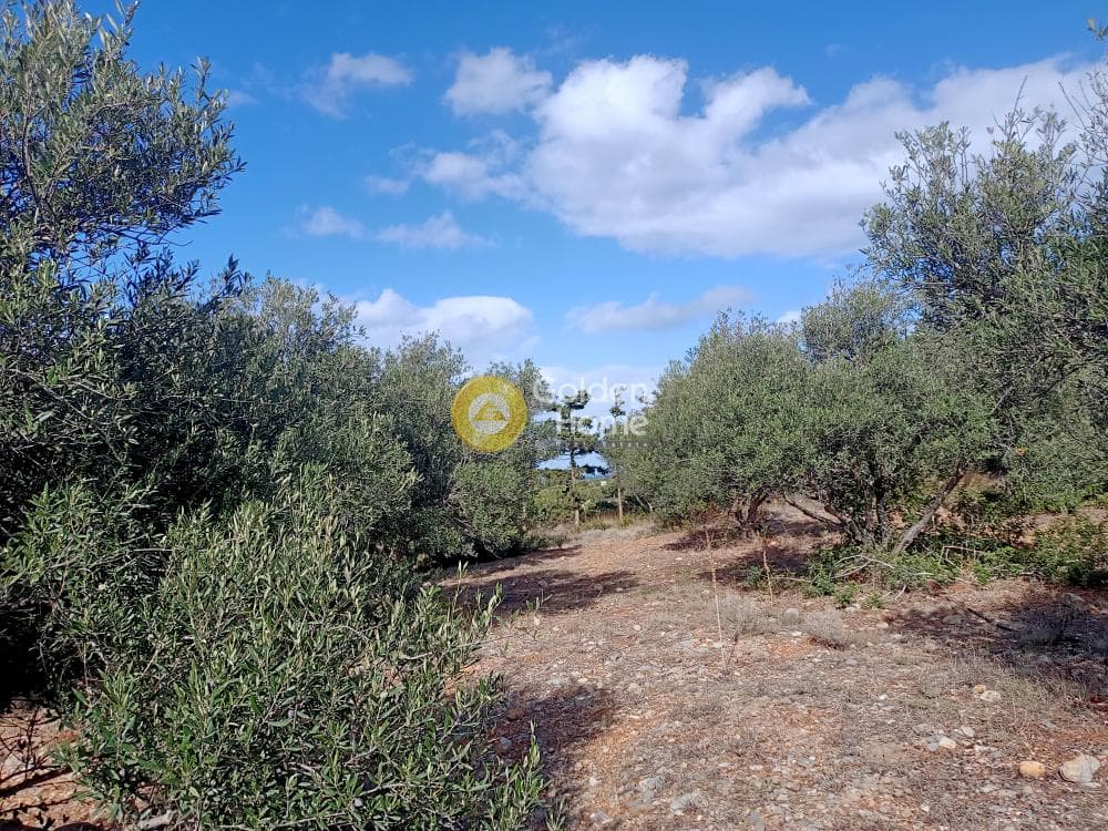 Οικόπεδο στην Αγία Βαρβάρα, Μάλλια — Φωτογραφία 1 από 4