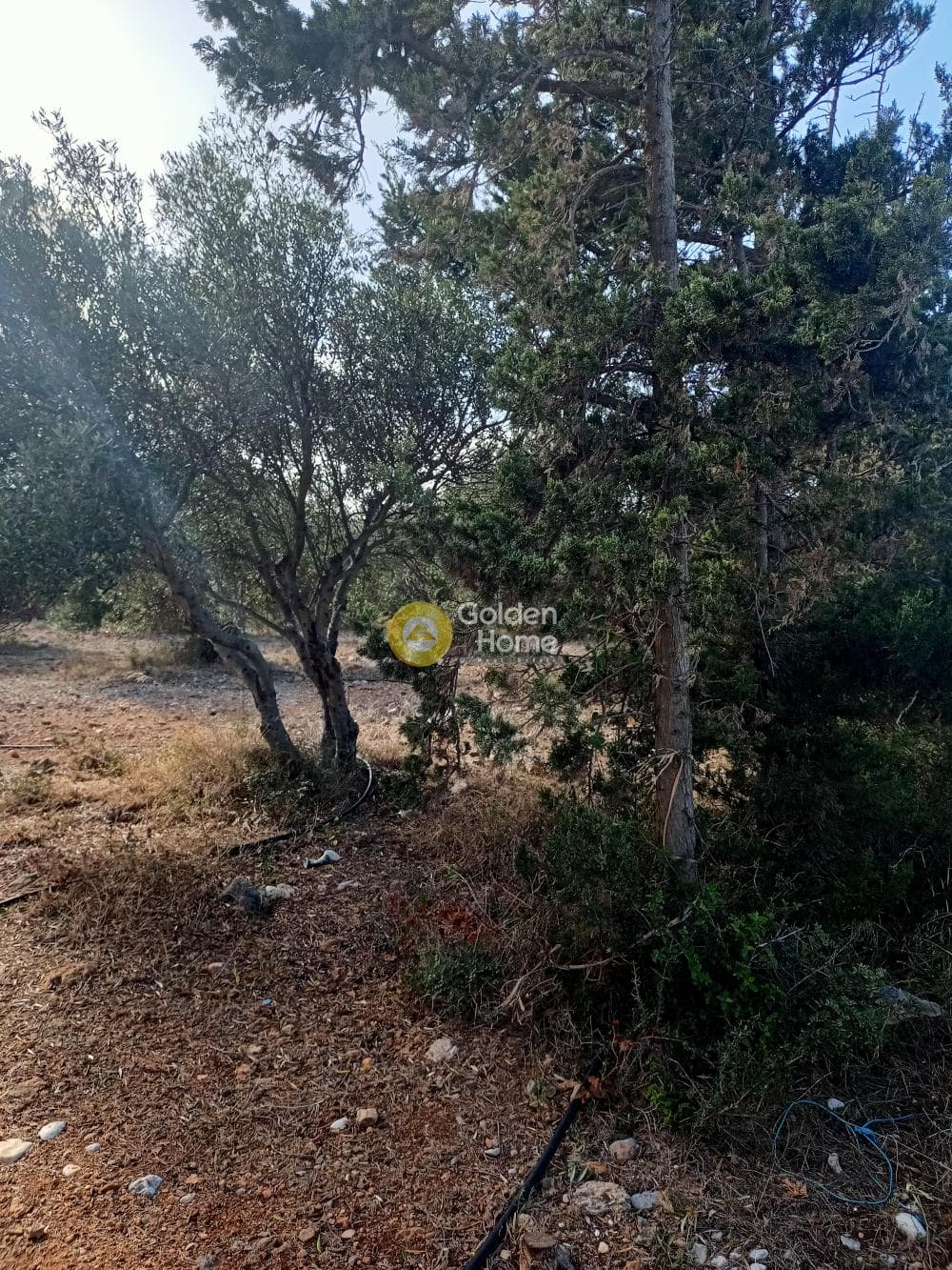 Οικόπεδο στην Αγία Βαρβάρα, Μάλλια — Φωτογραφία 3 από 4