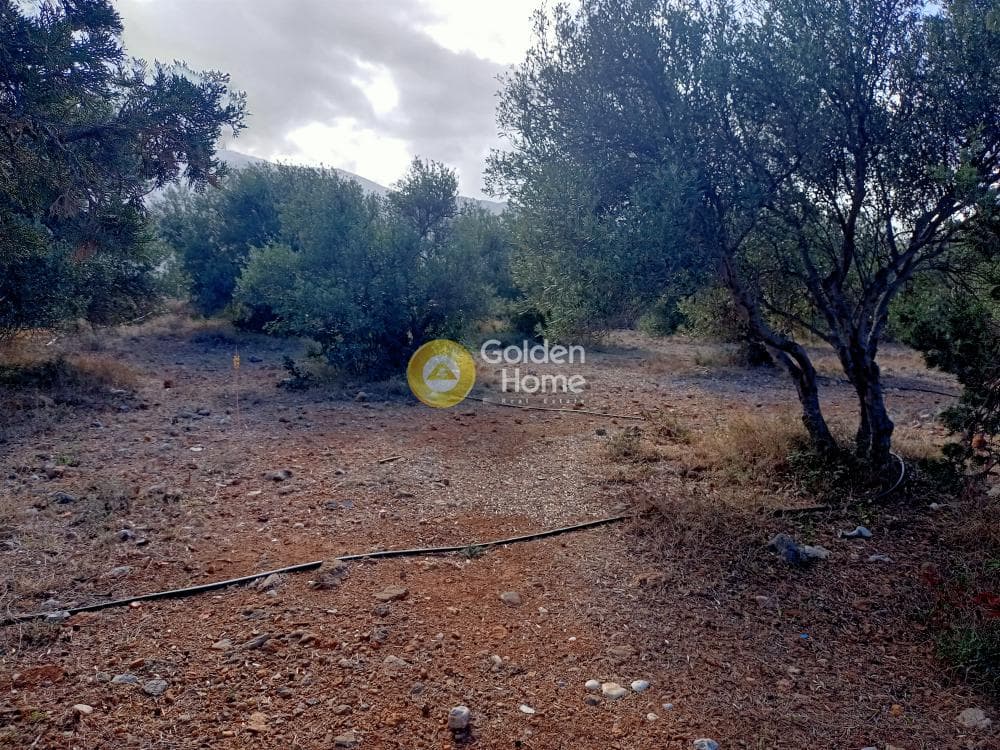 Οικόπεδο στην Αγία Βαρβάρα, Μάλλια — Φωτογραφία 4 από 4
