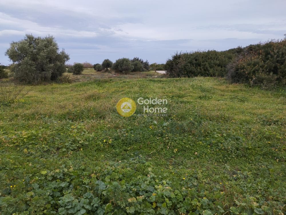 Οικόπεδο στην Μεγάλα Σχοινία Α, Αχαρνές