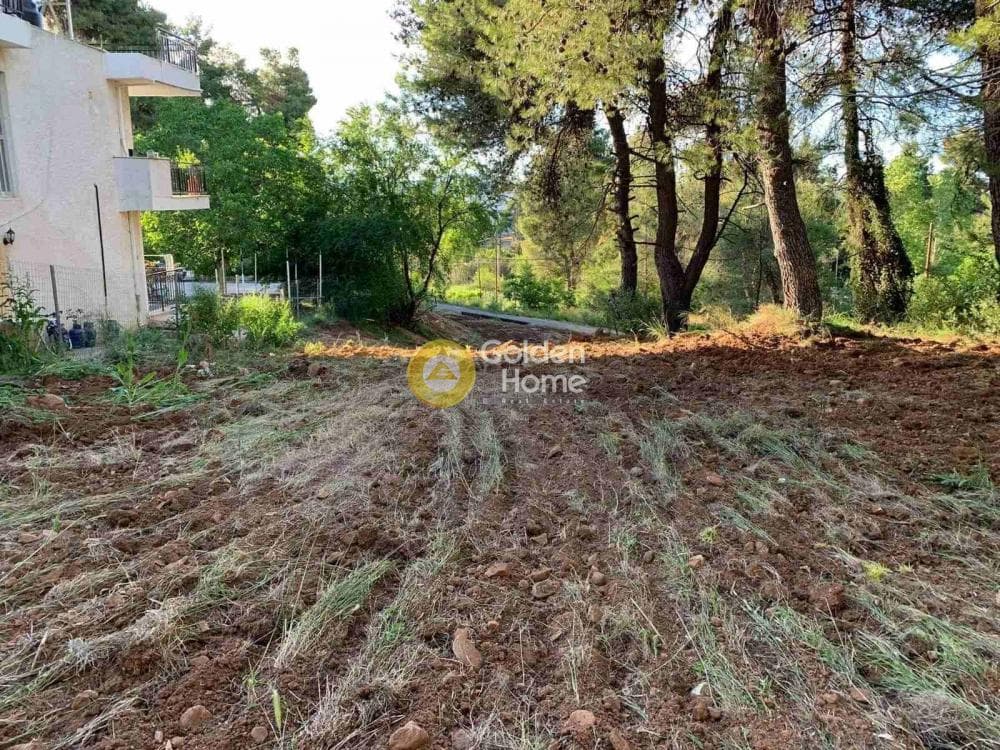 Building Plot in Rodopoli, Rodopoli — Photo 2 of 4