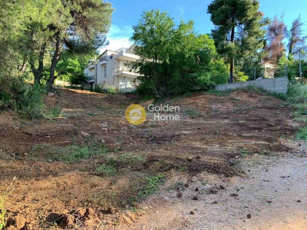Building Plot in Rodopoli, Rodopoli — Photo 3 of 4