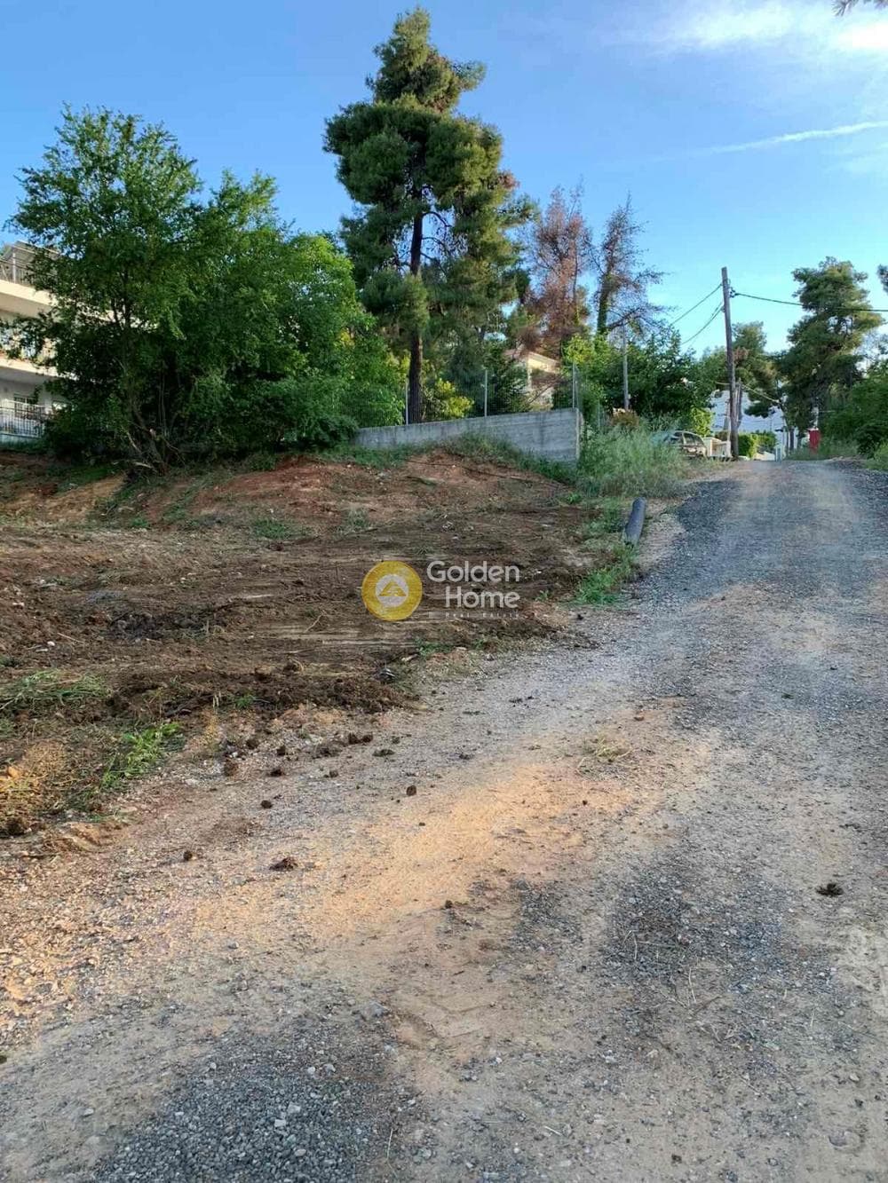Building Plot in Rodopoli, Rodopoli — Photo 4 of 4