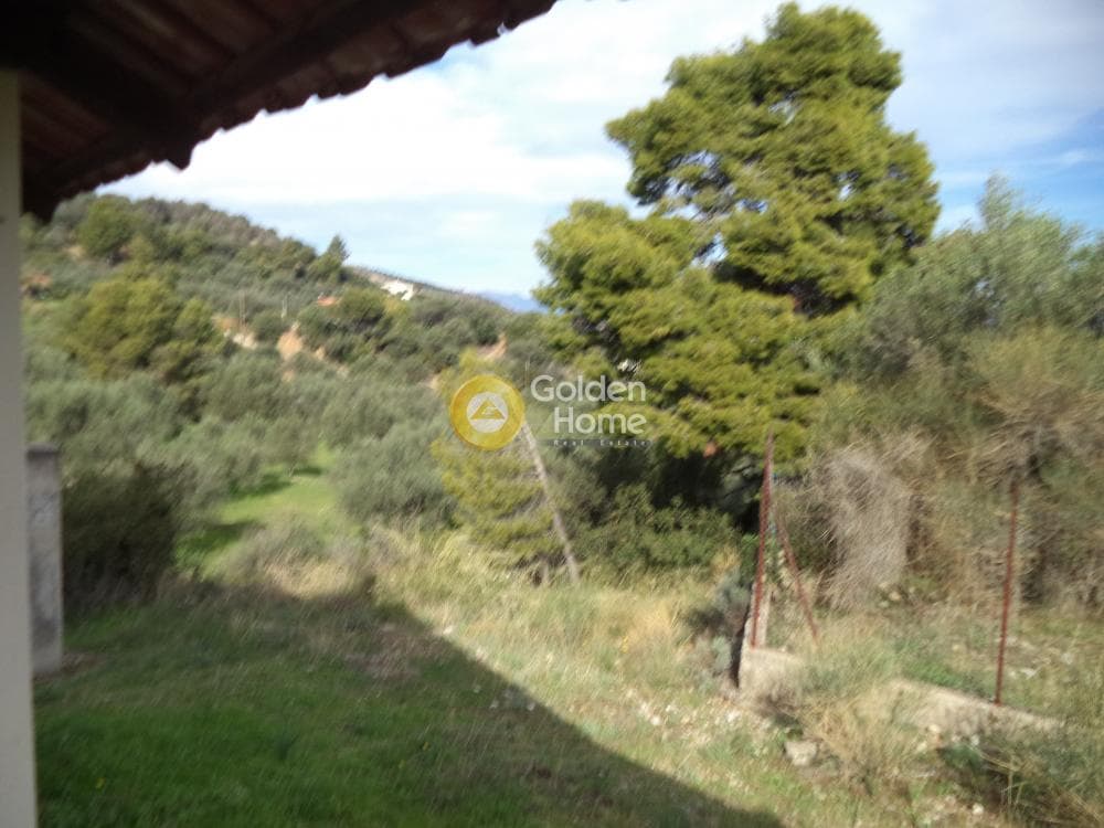 Μονοκατοικία στην Ζήρια, Ερίνεο — Φωτογραφία 5 από 9