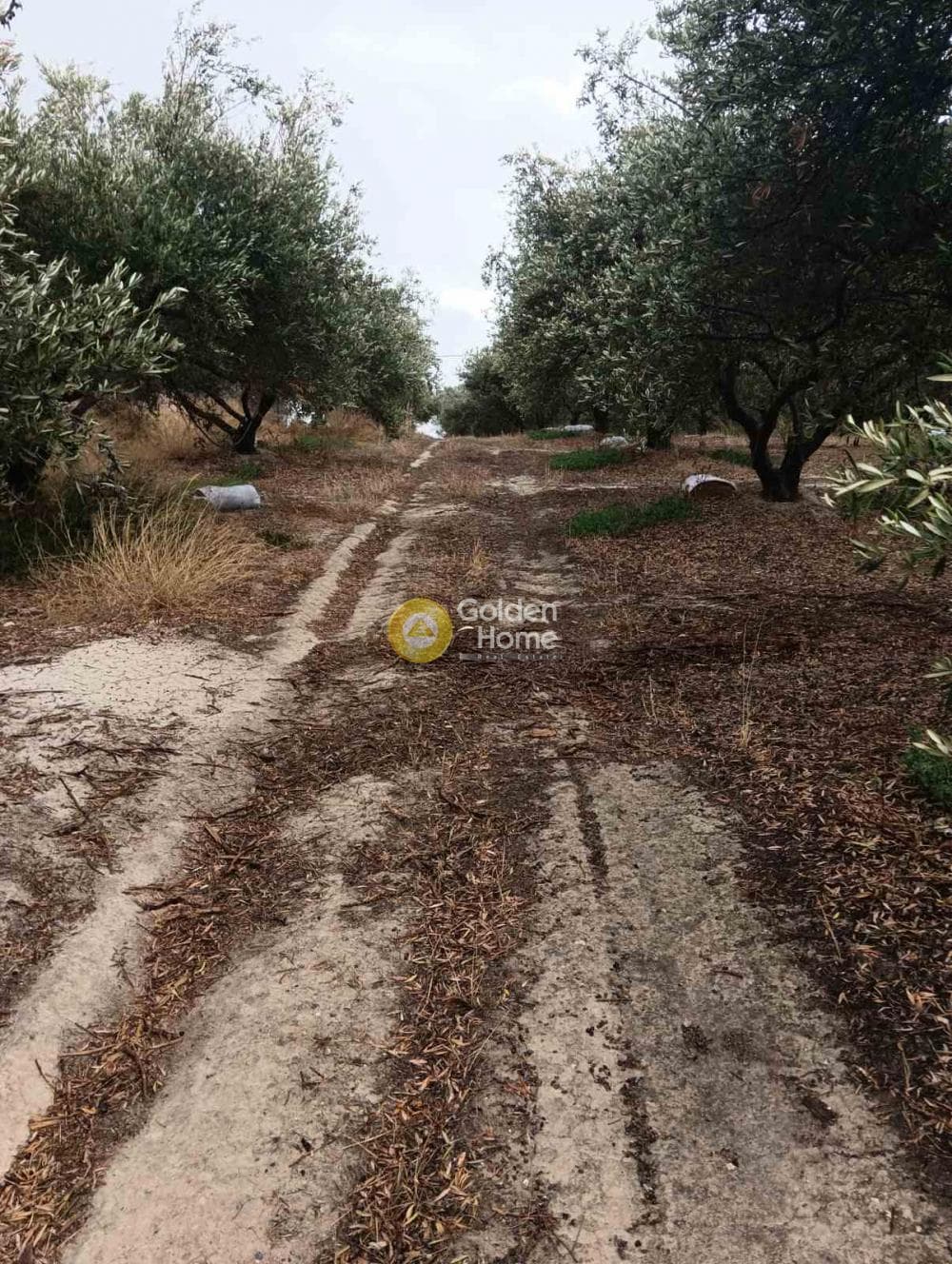 Οικόπεδο στην Βούτες, Τέμενος — Φωτογραφία 5 από 21