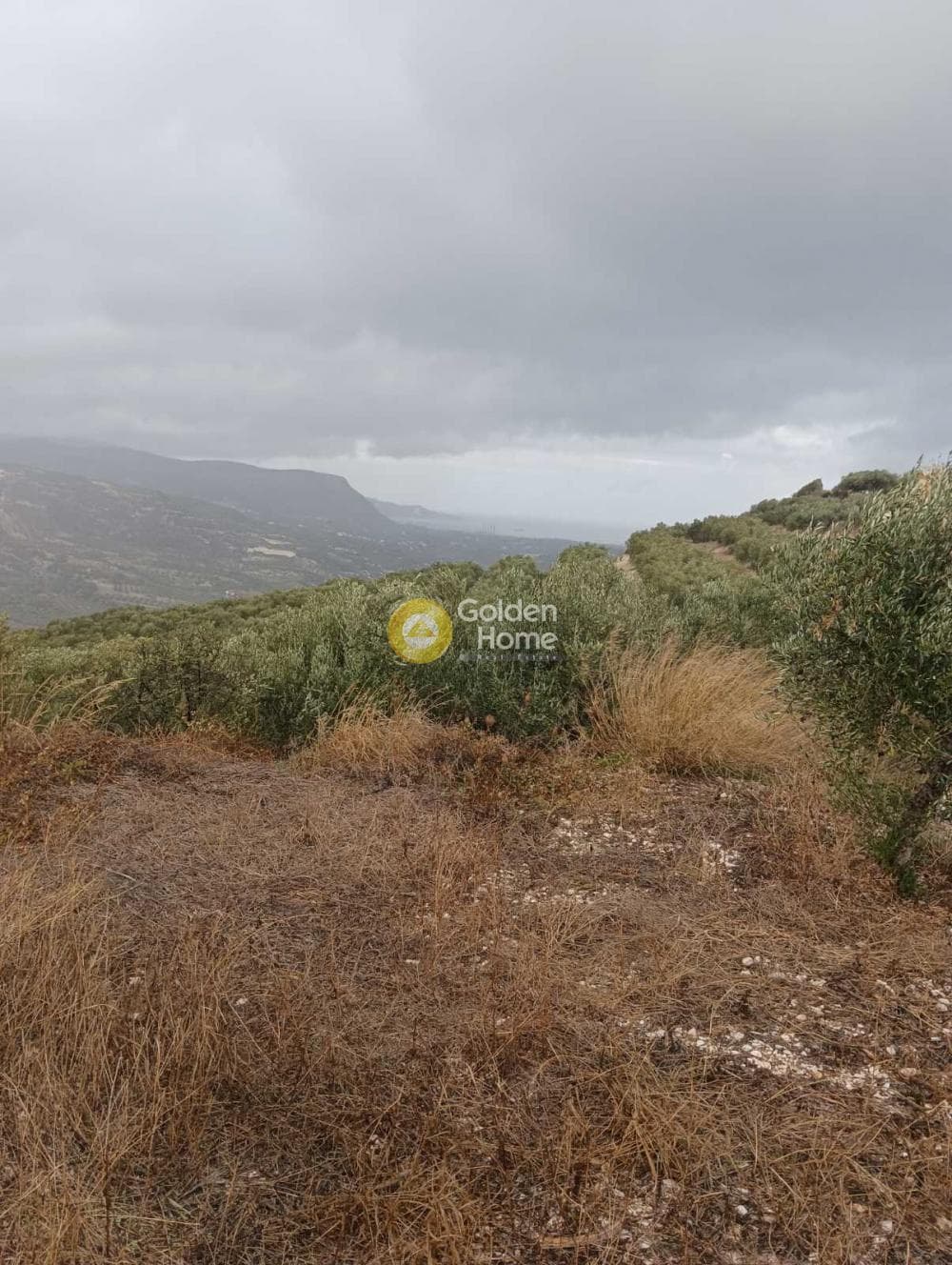Οικόπεδο στην Βούτες, Τέμενος — Φωτογραφία 4 από 21