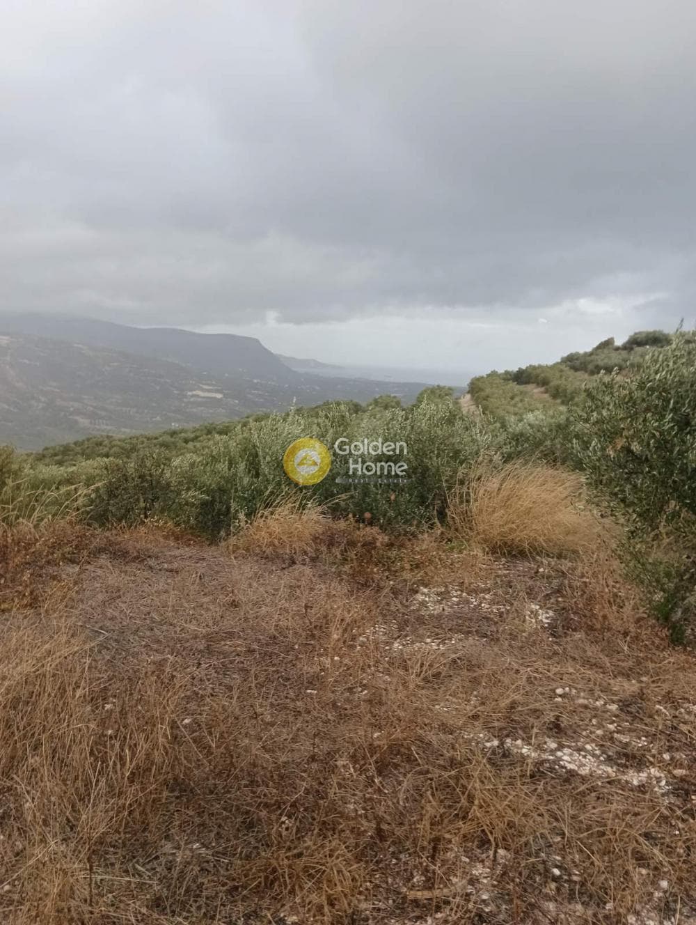 Οικόπεδο στην Βούτες, Τέμενος — Φωτογραφία 12 από 21