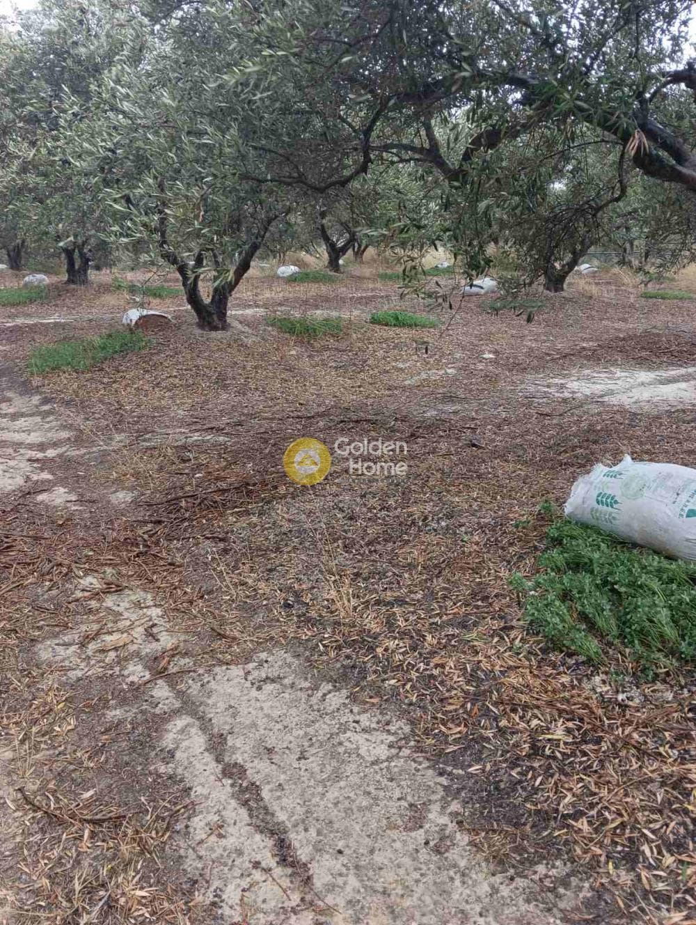 Οικόπεδο στην Βούτες, Τέμενος — Φωτογραφία 3 από 21
