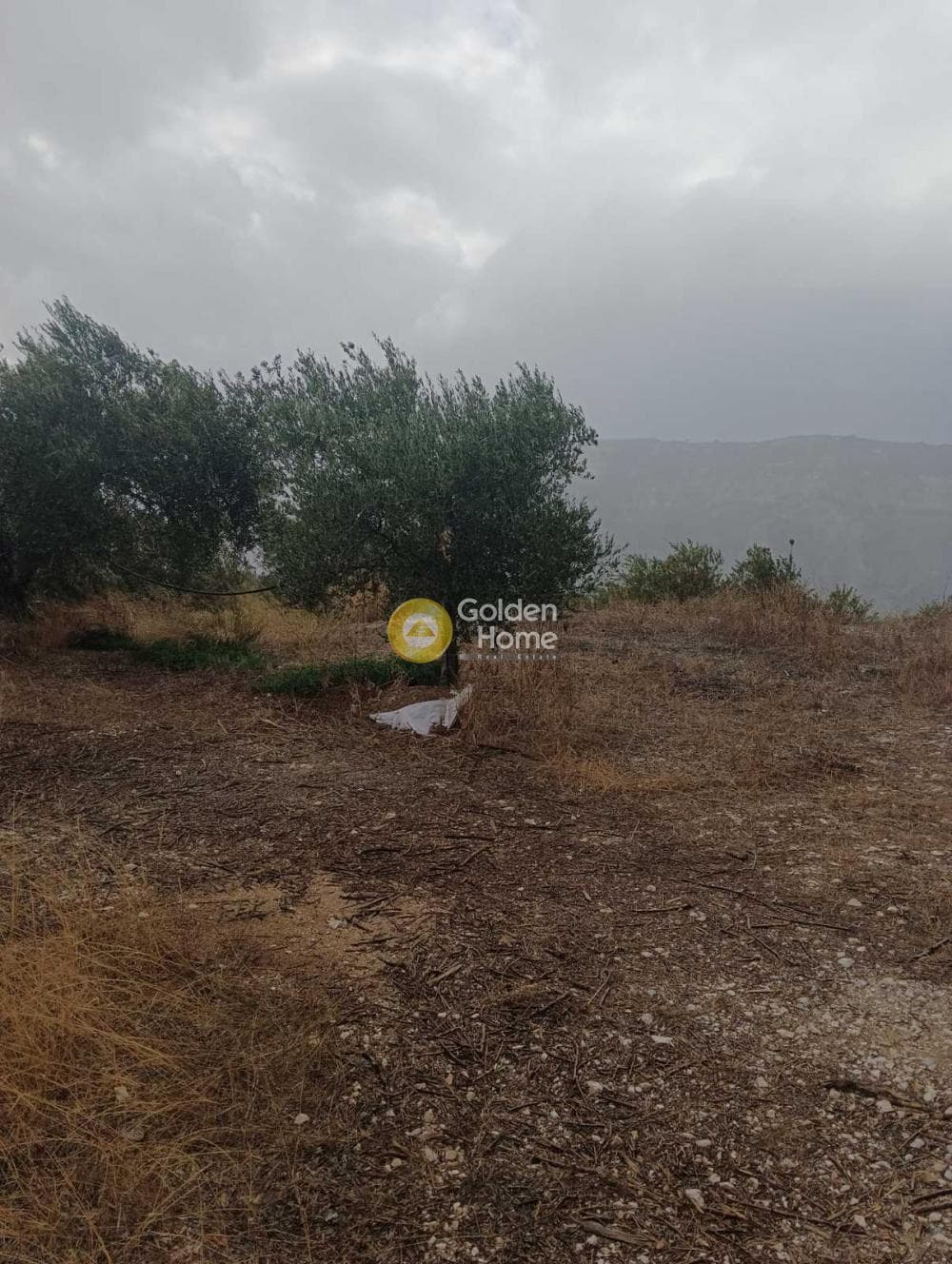 Οικόπεδο στην Βούτες, Τέμενος — Φωτογραφία 2 από 21