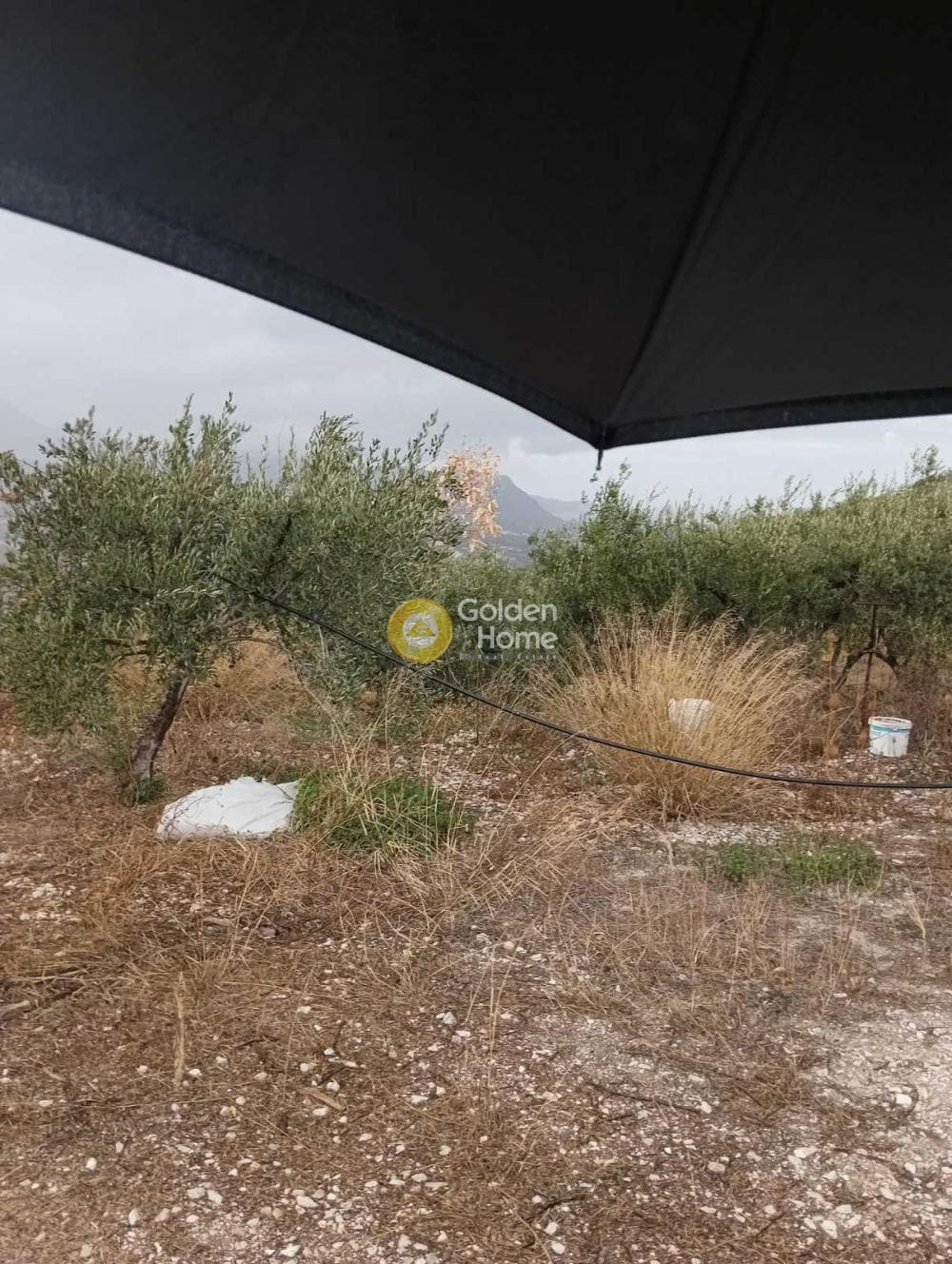 Οικόπεδο στην Βούτες, Τέμενος — Φωτογραφία 13 από 21