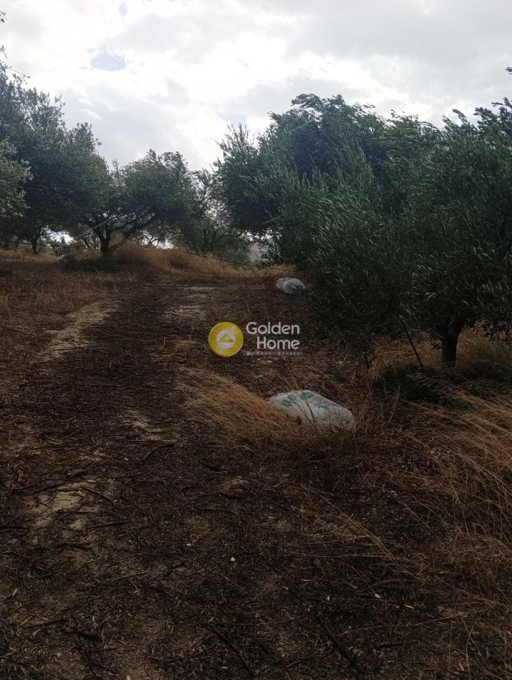 Οικόπεδο στην Βούτες, Τέμενος — Φωτογραφία 7 από 21