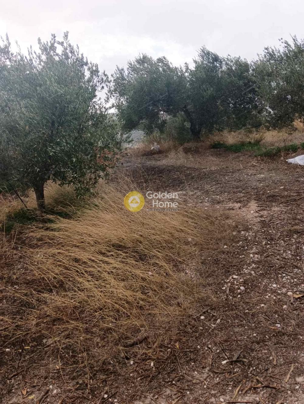 Οικόπεδο στην Βούτες, Τέμενος — Φωτογραφία 8 από 21