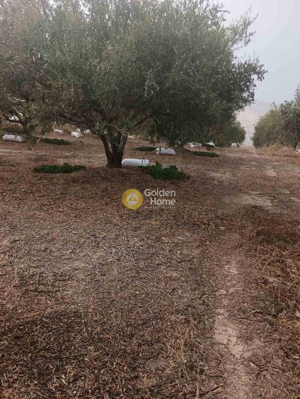 Οικόπεδο στην Βούτες, Τέμενος — Φωτογραφία 15 από 21