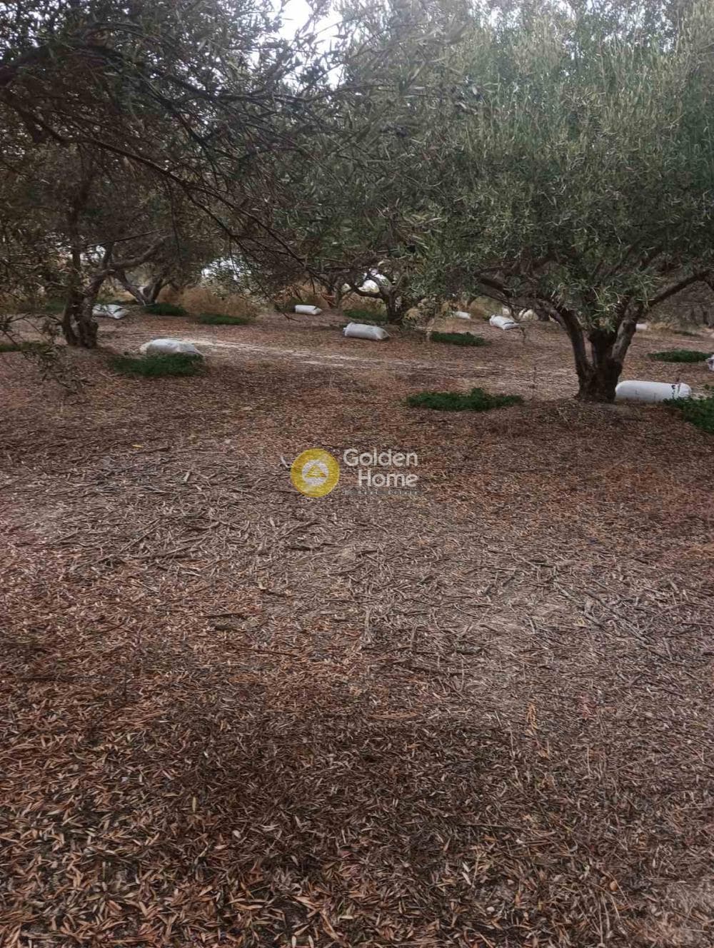 Οικόπεδο στην Βούτες, Τέμενος — Φωτογραφία 16 από 21