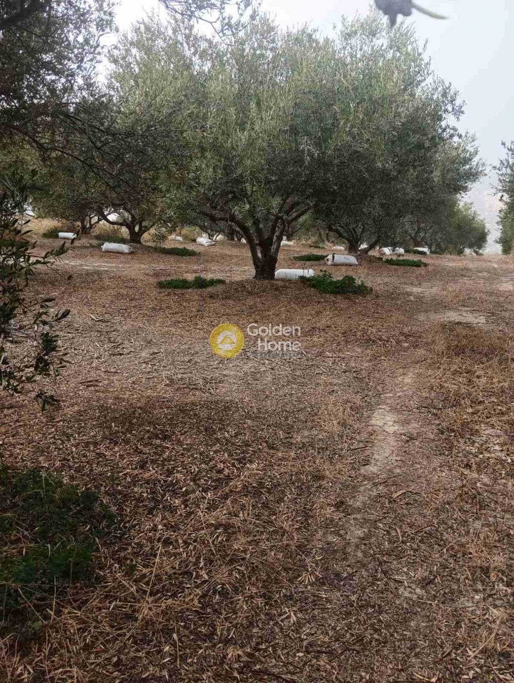Οικόπεδο στην Βούτες, Τέμενος — Φωτογραφία 17 από 21
