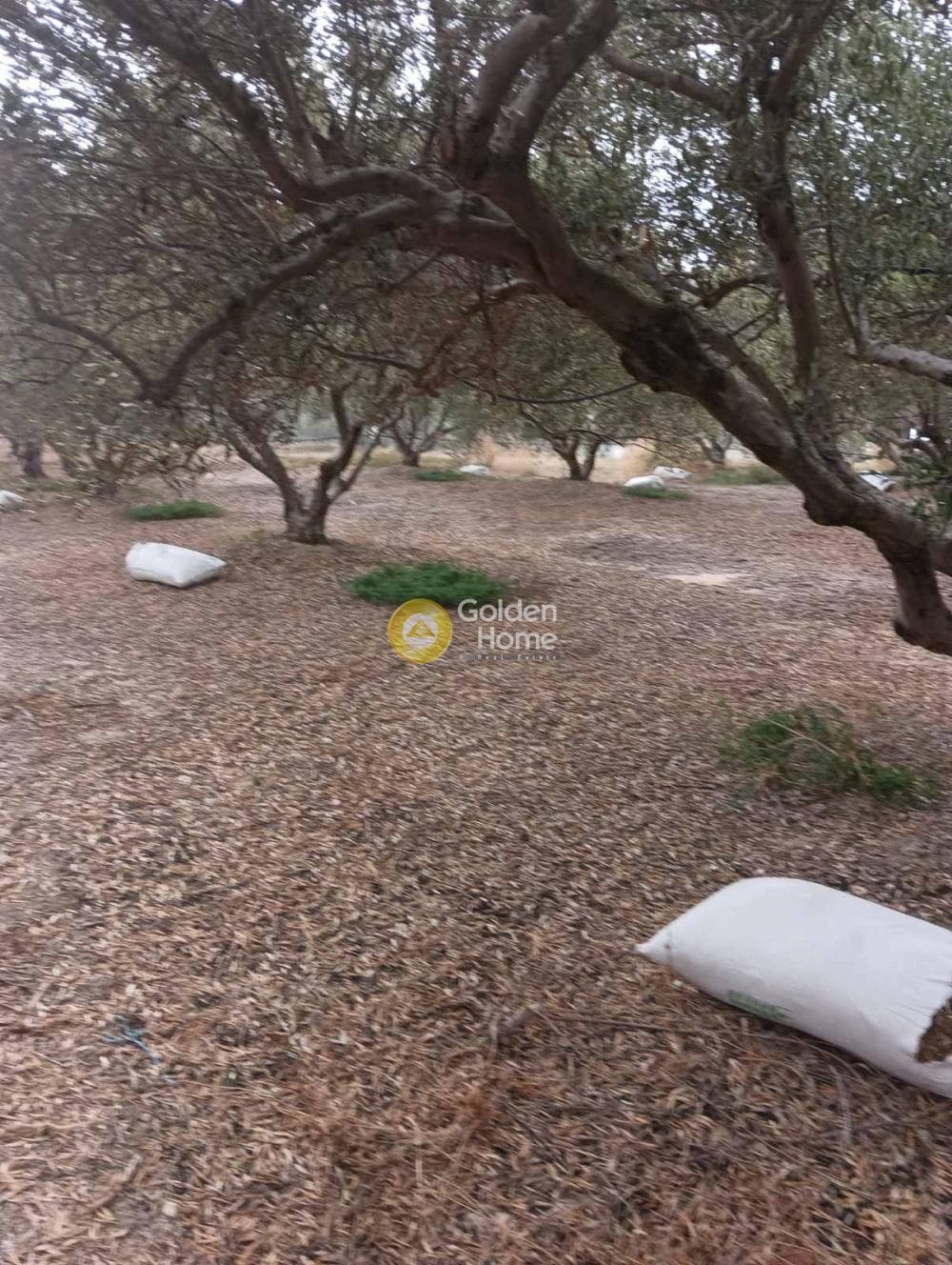 Οικόπεδο στην Βούτες, Τέμενος — Φωτογραφία 19 από 21