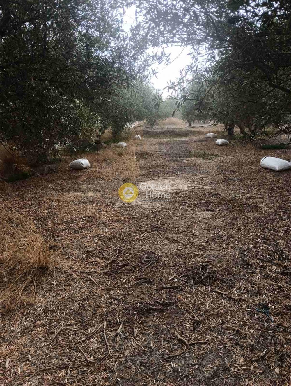 Οικόπεδο στην Βούτες, Τέμενος — Φωτογραφία 20 από 21