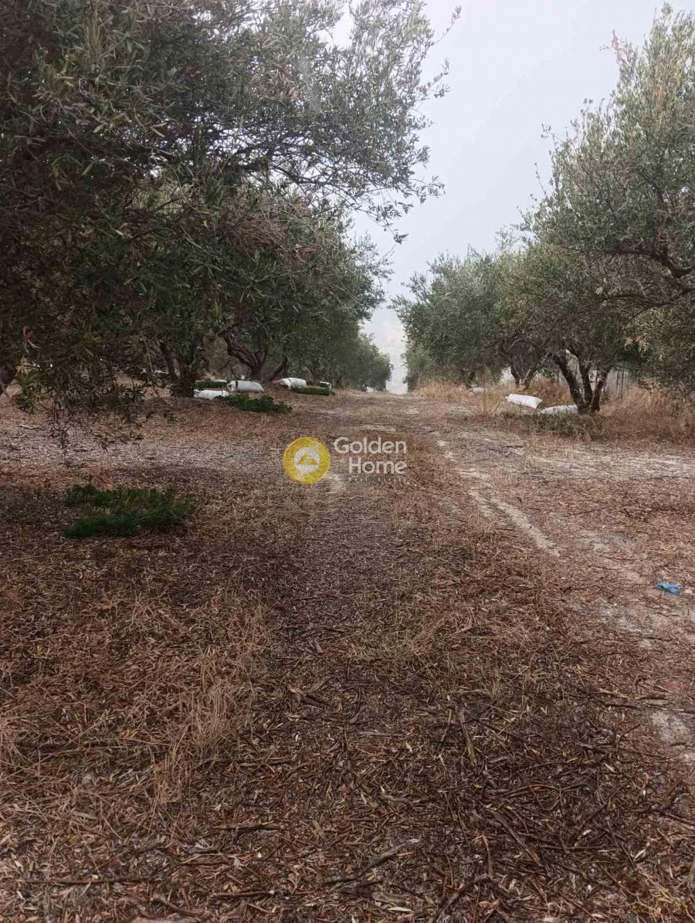 Οικόπεδο στην Βούτες, Τέμενος — Φωτογραφία 21 από 21