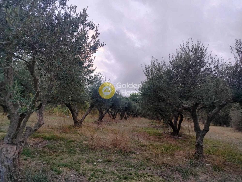 Parcel in Agia Marina, Gazi — Photo 1 of 5