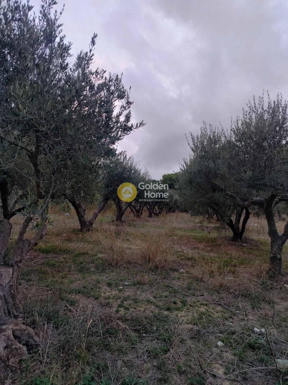 Parcel in Agia Marina, Gazi — Photo 3 of 5