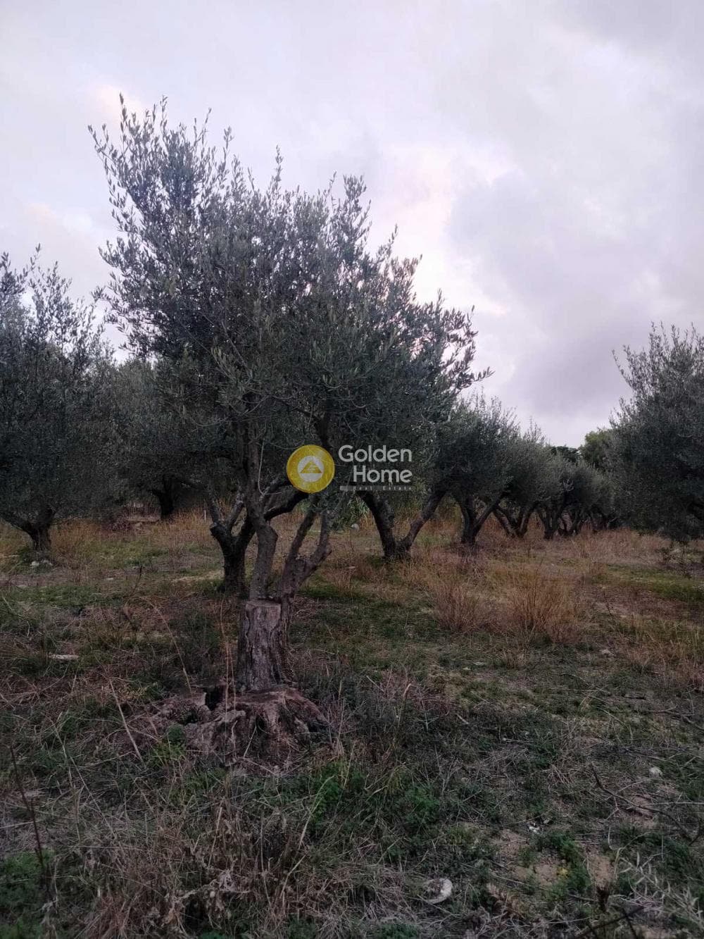 Parcel in Agia Marina, Gazi — Photo 4 of 5
