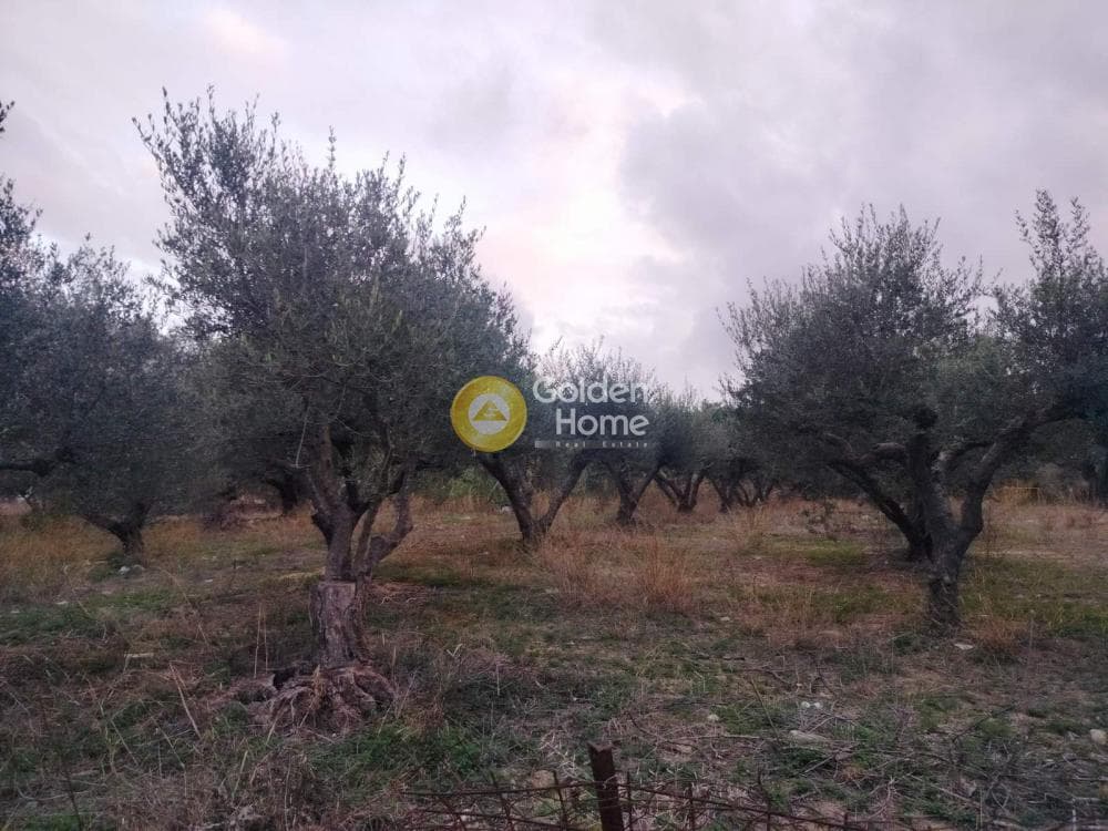Parcel in Agia Marina, Gazi — Photo 5 of 5