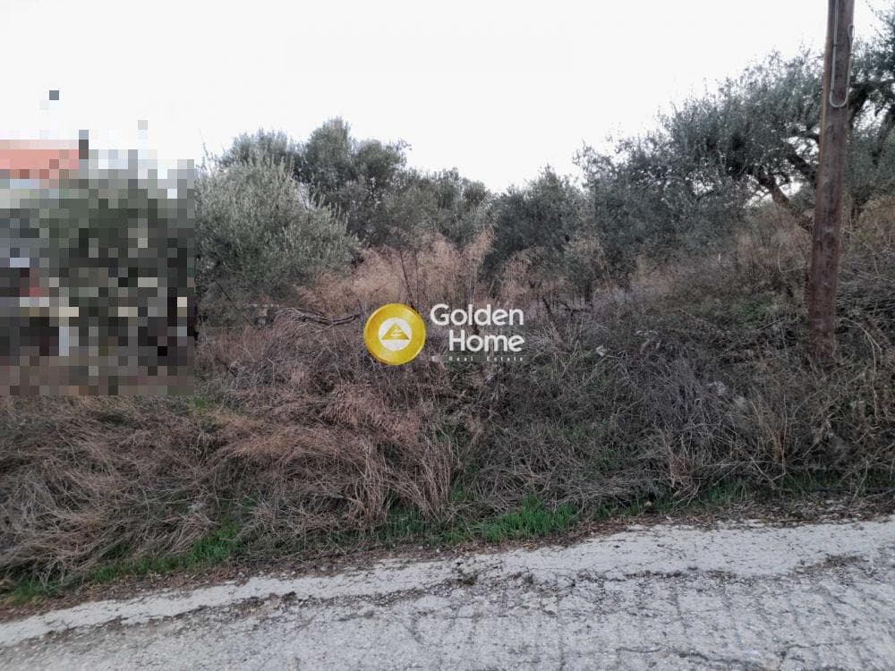 Οικόπεδο στην Πατσίδες, Αρχάνες