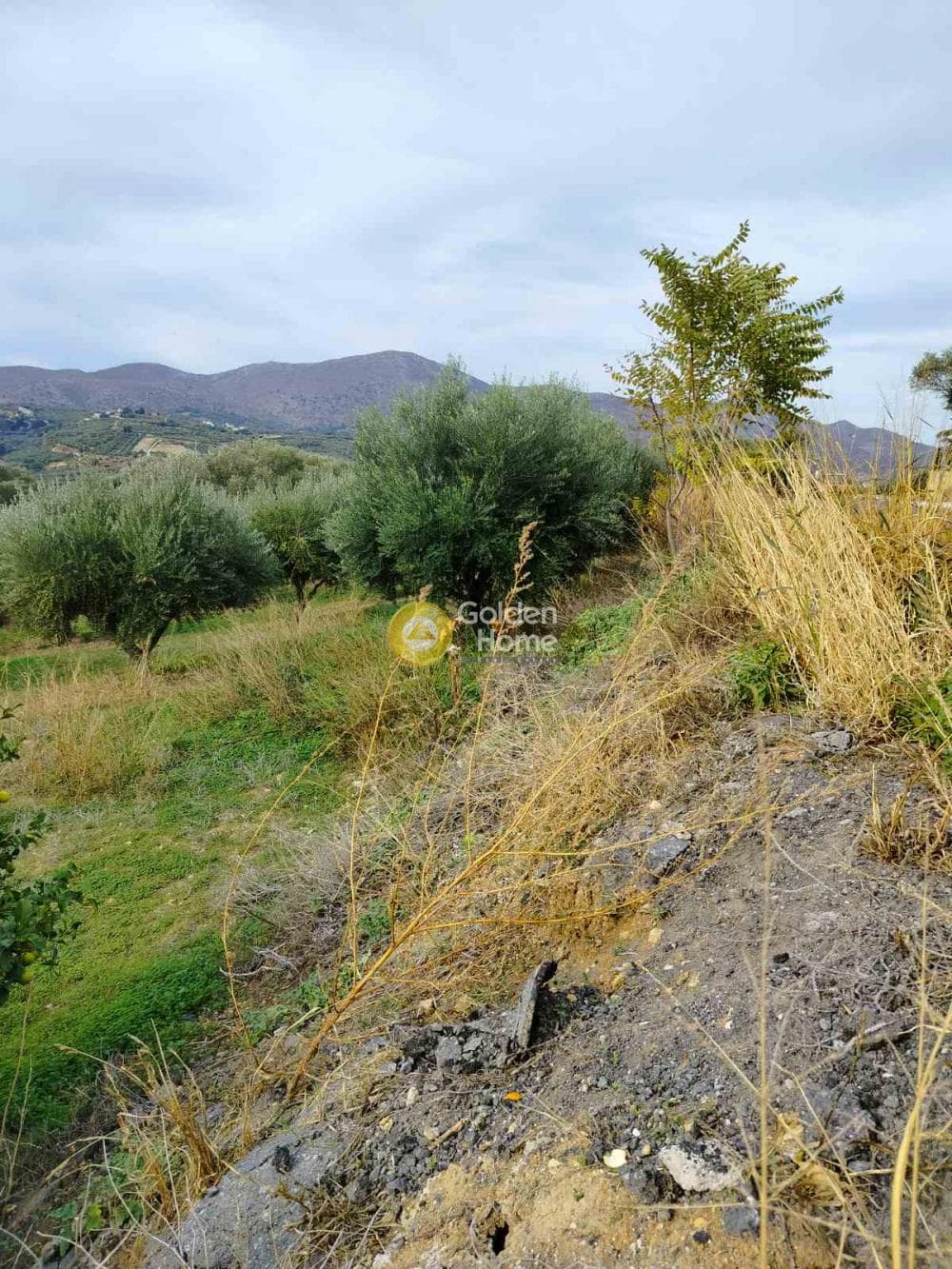 Building Plot in Keramoutsi, Tetrachori — Photo 1 of 2