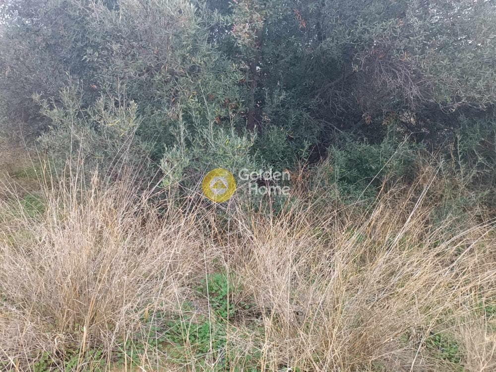 Building Plot in Agios Ioannis Knossou, Heraclion Cretes — Photo 1 of 3