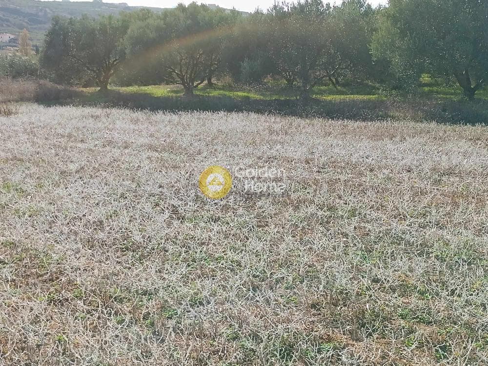 Οικόπεδο στην Κάτω Αρχάνες, Αρχάνες — Φωτογραφία 2 από 2