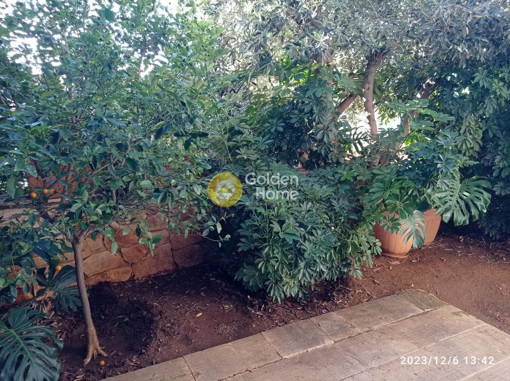 Μονοκατοικία στην Αγία Μαρίνα, Κορωπί — Φωτογραφία 12 από 27