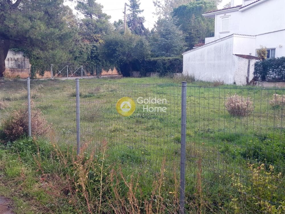 Οικόπεδο στην Καπιτένια, Άγιος Στέφανος — Φωτογραφία 2 από 5