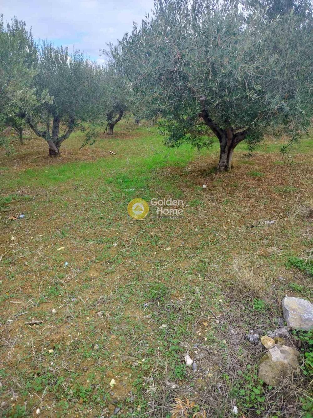Αγροτεμάχιο στην Ροδιά, Γάζι — Φωτογραφία 1 από 5