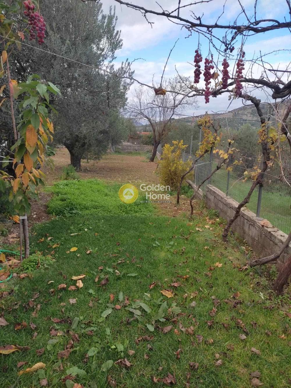 Μονοκατοικία στην Αλαμάννος, Σαρωνικός — Φωτογραφία 34 από 51