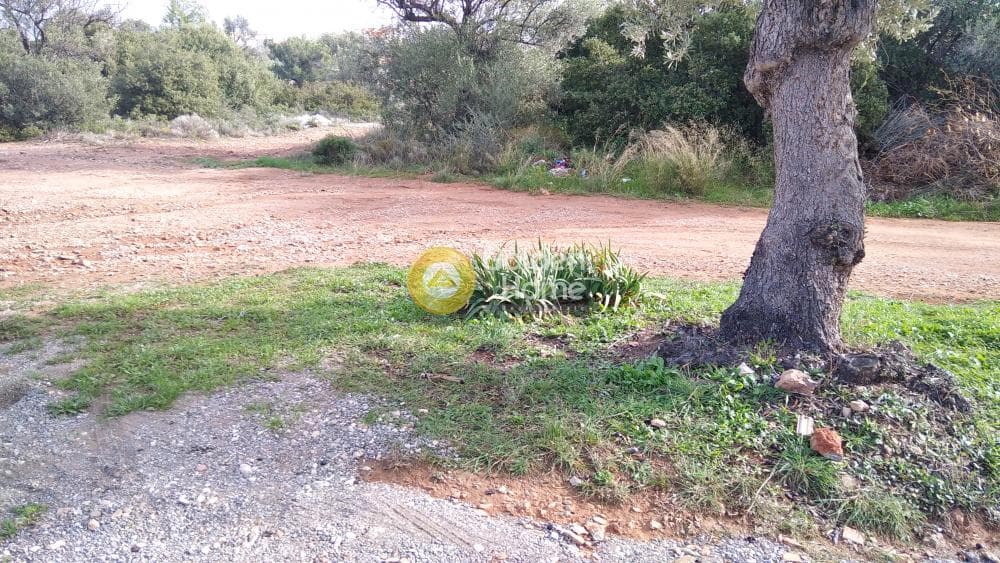 Building Plot in Centre, Glika Nera — Photo 1 of 10